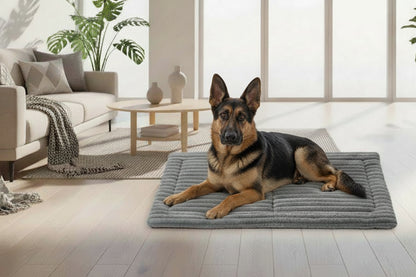 HeatNest - Natürliche Wärme, ultimativer Komfort | Sniffly